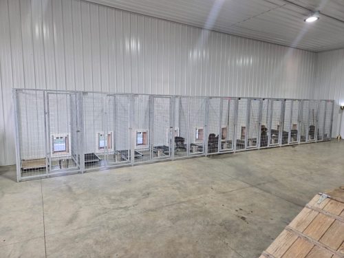 Kennel Interior